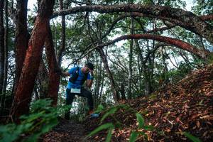 BIB: 
                            <button type="button" onclick="openModal(26345245)" class="btn btn-primary btn-sm float-right btn-popup" data-toggle="modal" data-target=".modal-high-quality">
                        <i class="fas fa-shopping-cart"></i> Add to Cart
                    </button>
                                            <button type="button" onclick="isThisMe(26345245, true)" class="btn btn-success btn-sm float-right btn-popup btn-isme hidden" data-toggle="tooltip" data-placement="bottom" title="นี่คือรูปของคุณใช่ไหม คลิกที่นี่เพื่อเอาเข้าอัลบั้ม">
                        <i class="fas fa-plus"></i> Add to album
                    </button>
                    <button type="button" onclick="isThisMe(26345245, false)" class="btn btn-warning btn-sm float-right btn-popup btn-isnotme hidden">
                        <i class="fas fa-ban"></i> Remove from album
                    </button>